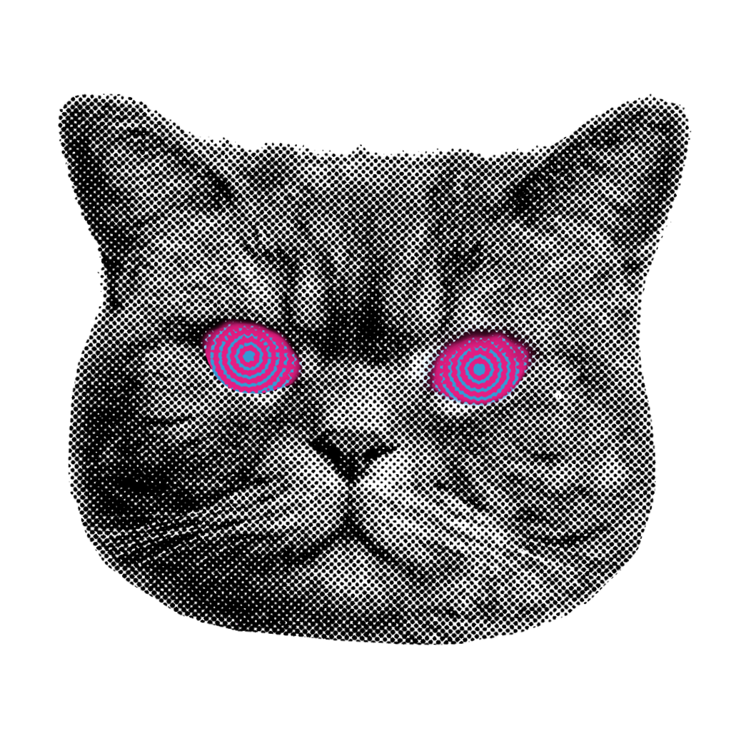 Hypno Cat