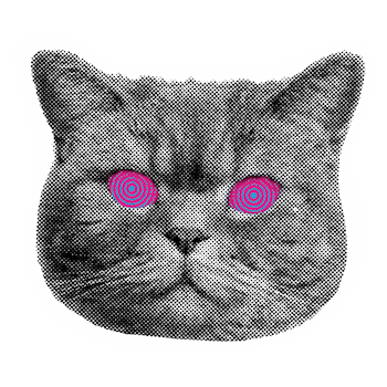 Hypno Cat